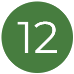 Timeline icon 12