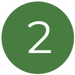Timeline icon 2
