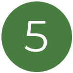 Timeline icon 5